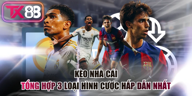 Kèo Nhà Cái - Tổng Hợp 3 Loại Hình Cược Hấp Dẫn Nhất 1 Kèo Nhà Cái - Tổng Hợp 3 Loại Hình Cược Hấp Dẫn Nhất